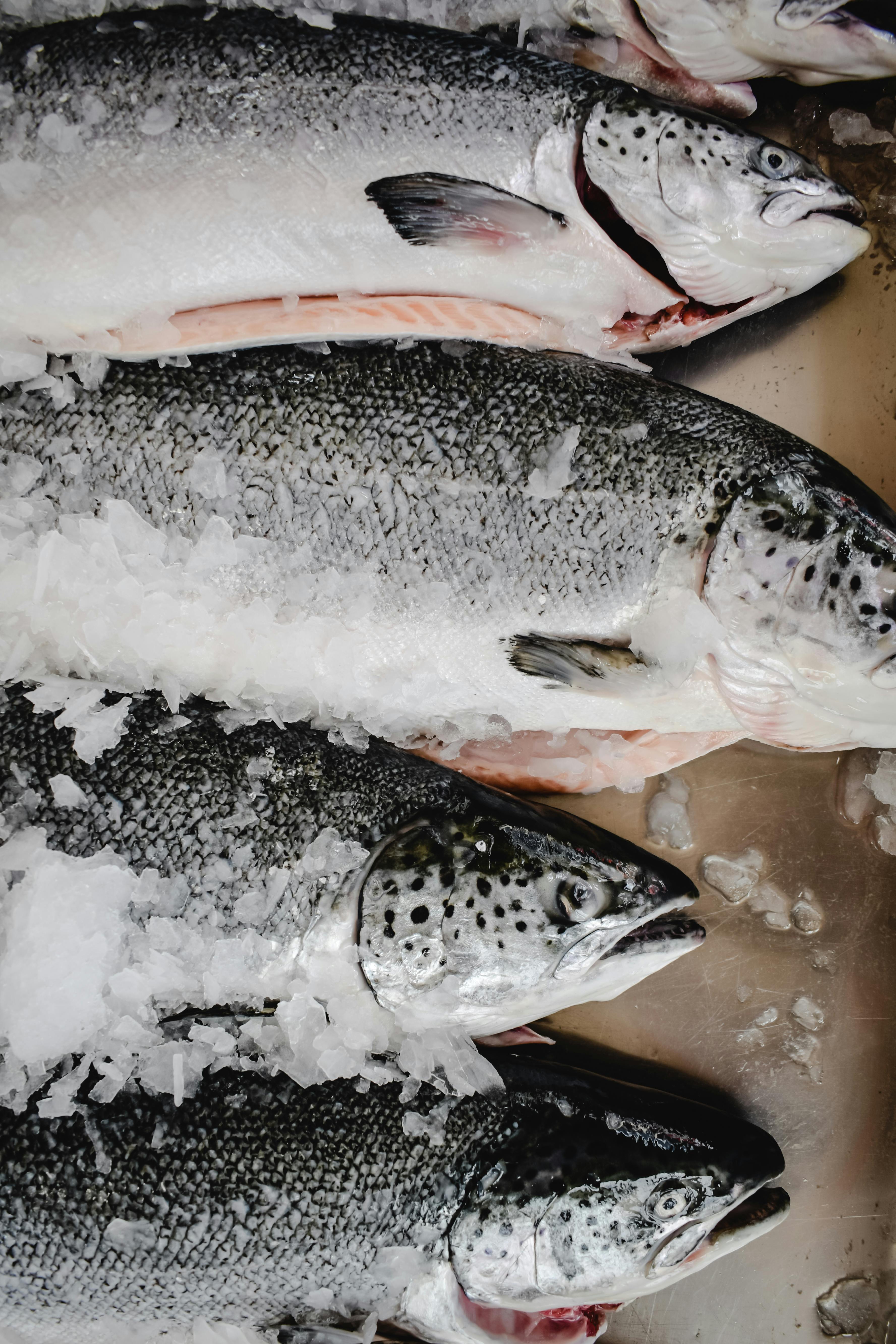 Food packaging and handling